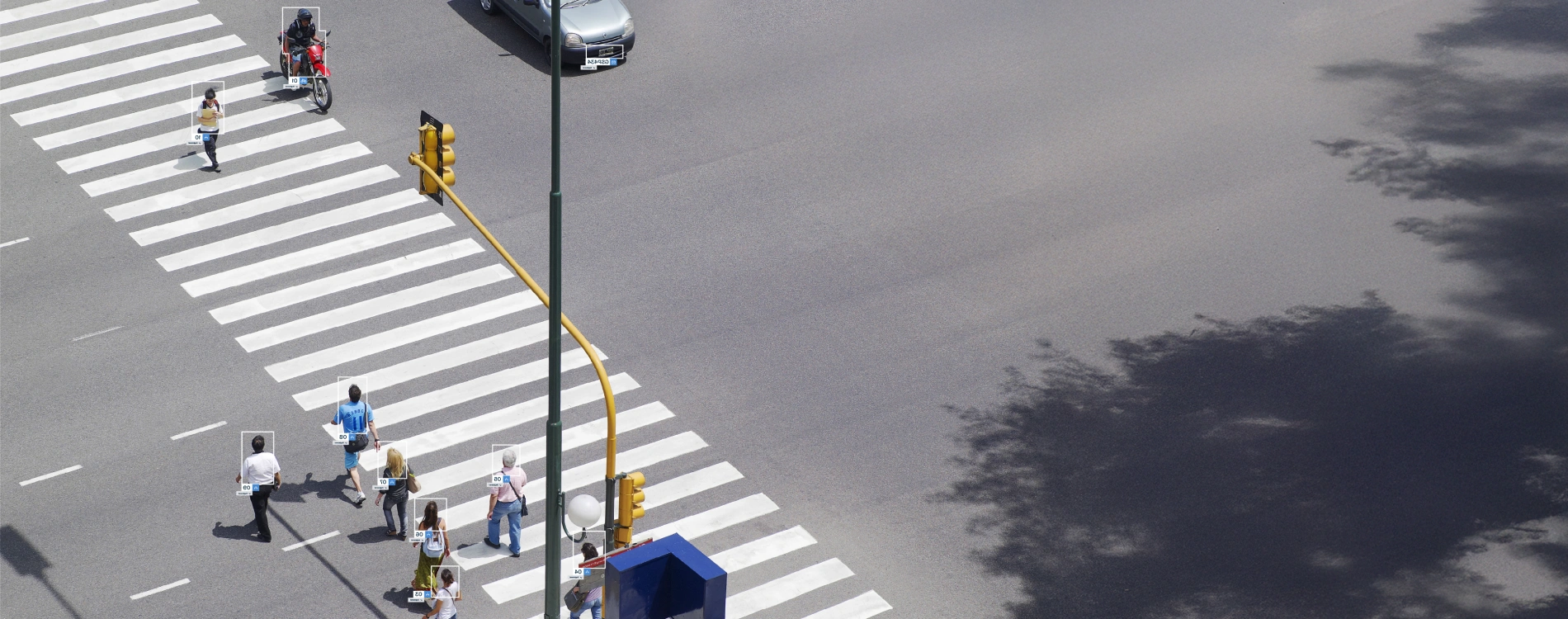 See Everything, Anywhere: